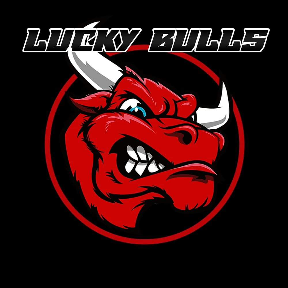 Lucky Bulls